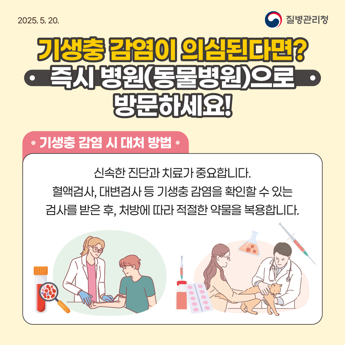 (카드뉴스) 반려동물 기생충 감염, 이렇게 예방하세요! 이미지 1