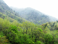 대관령 산신 김유신