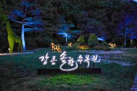 솔향수목원 야간개장 이미지