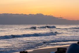 2026년 해맞이 행사 썸네일 2