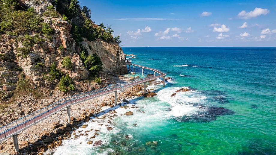 South Korea’s Representative Healing Trekking Course, ‘Jeongdong-Simgok Badabuchae-gil’   Selected in 2025~2026 Korea Tourism Top 100