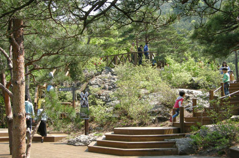 하늘정원