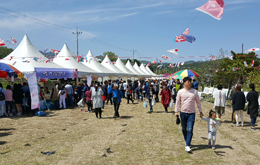 강릉 복사꽃 축제