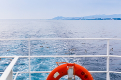 注文津観光遊覧船
