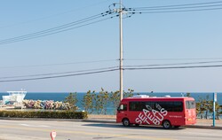 シーティー(SEA TEA)バス