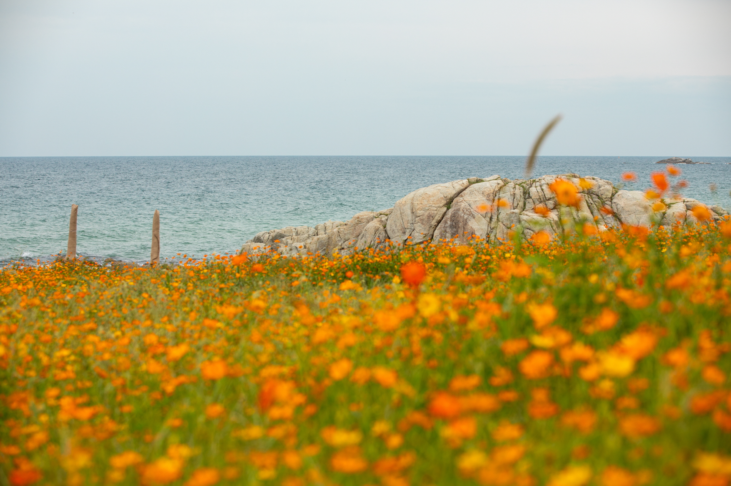 秋のフォトゾーン