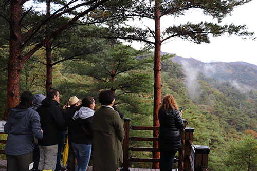 오죽헌/시립박물관 사진2