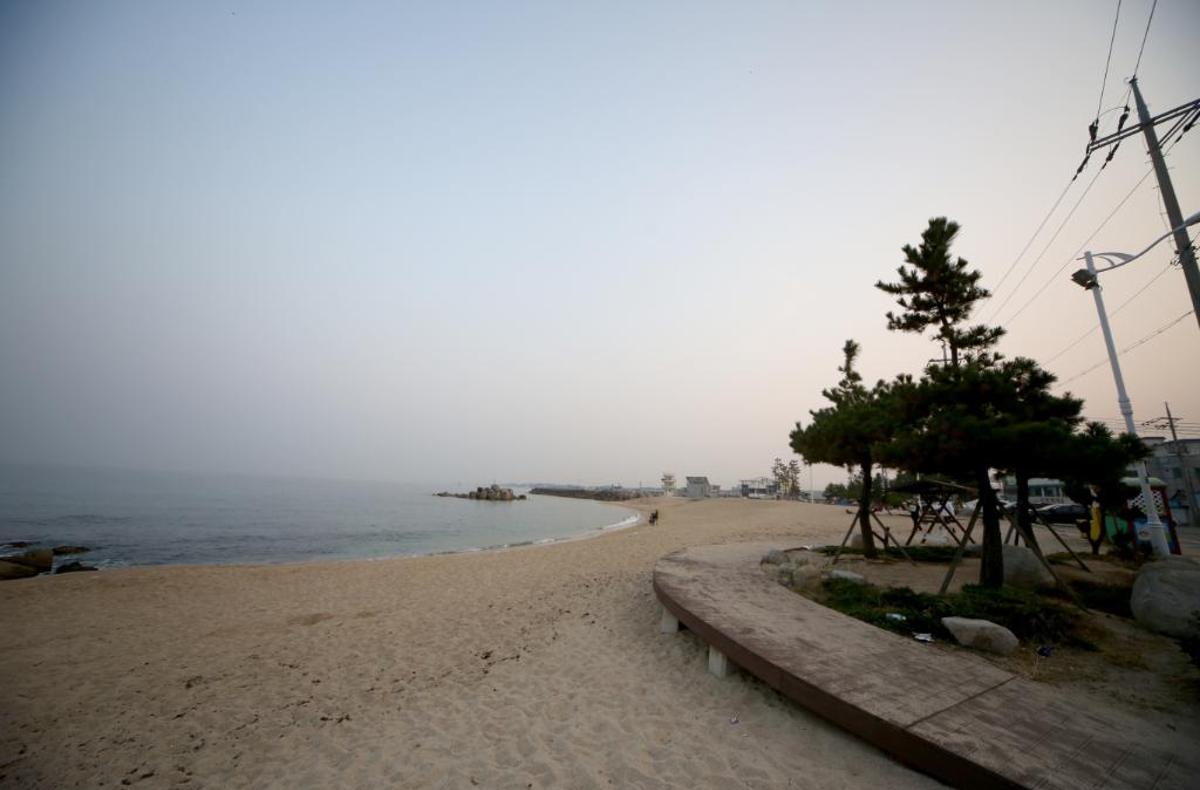 사천진해변1