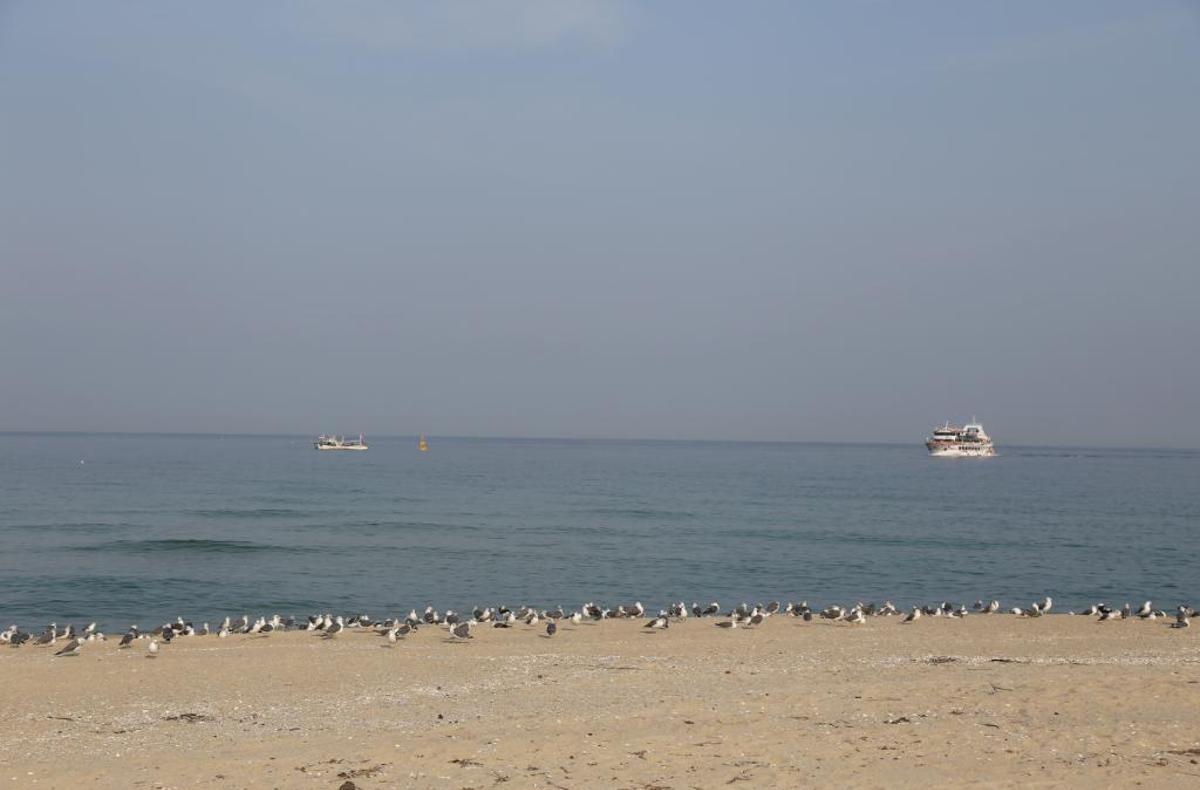 영진해변2