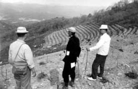왕산안반데기 개간 1967년 이미지